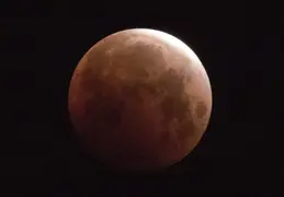 Moon Eclipse 20210526 41