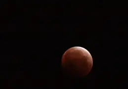Moon Eclipse 20210526 42