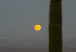 Moon Eclipse 20240917 03