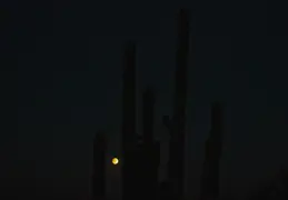 Moon Eclipse 20240917