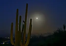 Moon Eclipse 20240917 33