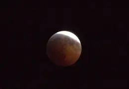 Full Moon Eclipse Dec 2010 013