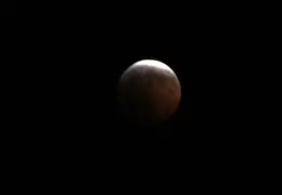 Full Moon Eclipse Dec 2010 014