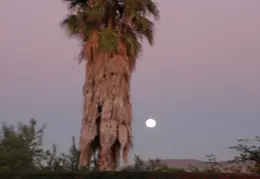 Moon 20091102 0001