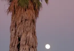 Moon 20091102 0002