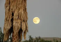 Moon 20091102 0003