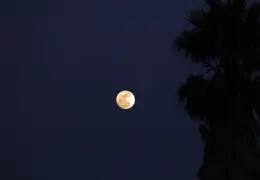 Moon Feb 2010 0002