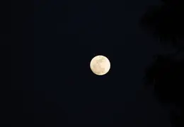 Moon Feb 2010 0003