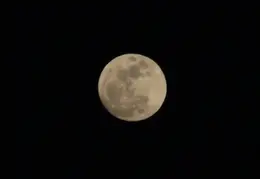 Moon Feb 2010 0004