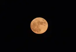 Moon November 25 2015 1JPG
