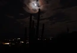 Moon n Stars 20231206 02