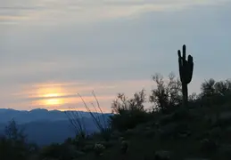 Moonrise 20260216 01