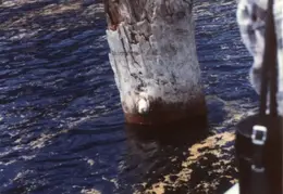 Crater Lake July 1985 039
