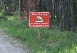 Glacier NP Avalanche Campground Campsite 06