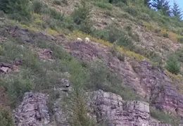 Glacier National Park 1971 09