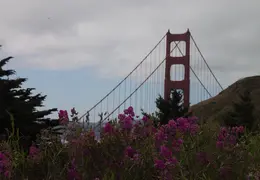 Golden Gate National Recreation Area July 2011 014