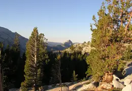Grand Staircase Trip 2003 High Country Yosemite