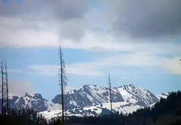 Grand Teton National Park May 2014 0004