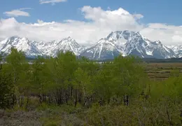 Grand Teton National Park May 2014 0011