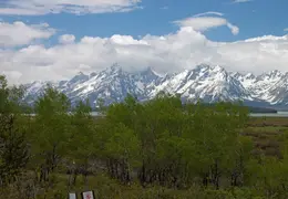 Grand Teton National Park May 2014 0013