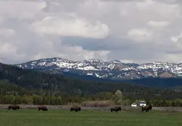 Grand Teton National Park May 2014 0016