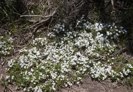 Grand Teton National Park May 2014 0035