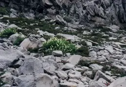 Lassen Volcanic National Park 1998