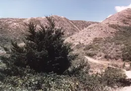 Pt Reyes 1988 07