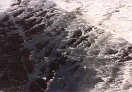 Pt Reyes 1988 08