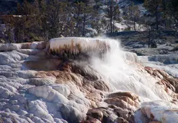 Yellowstone National Park May 2014 0018