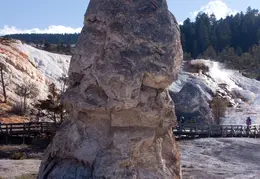 Yellowstone National Park May 2014 0019