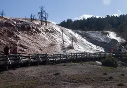 Yellowstone National Park May 2014 0021