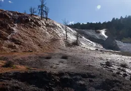Yellowstone National Park May 2014 0022