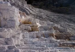 Yellowstone National Park May 2014 0025