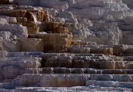 Yellowstone National Park May 2014 0035