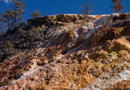 Yellowstone National Park May 2014 0036