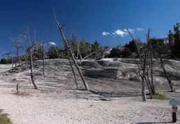 Yellowstone National Park May 2014 0038