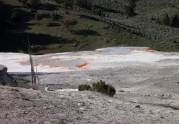 Yellowstone National Park May 2014 0041