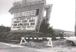 110 Drive-In 02
