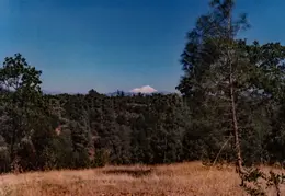 Anderson House 1981 009