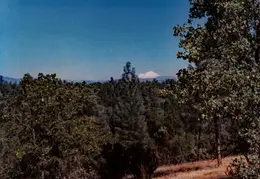 Anderson House 1981 010