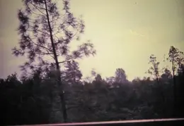 Anderson House 1981 032
