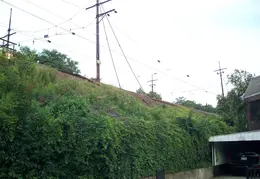 Boulevard Gardens 06