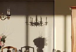 Dining Room Shadows 20230925