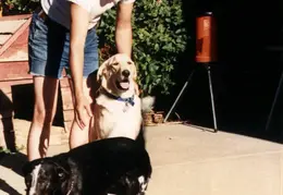 Martinez House Pets