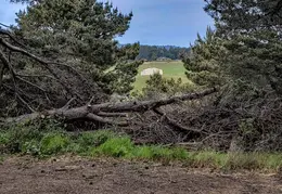 Moat Creek CA April 2021
