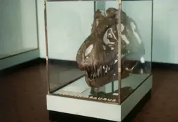 New York Trip 1982 17