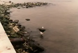 New York Trip 1982 21