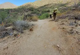 Adero Canyon Trailhead Hike 20231001 039