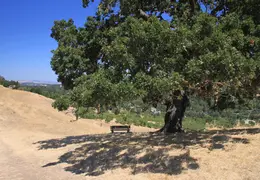 Ancient Ways At Sugarloaf Open Space 2010 044